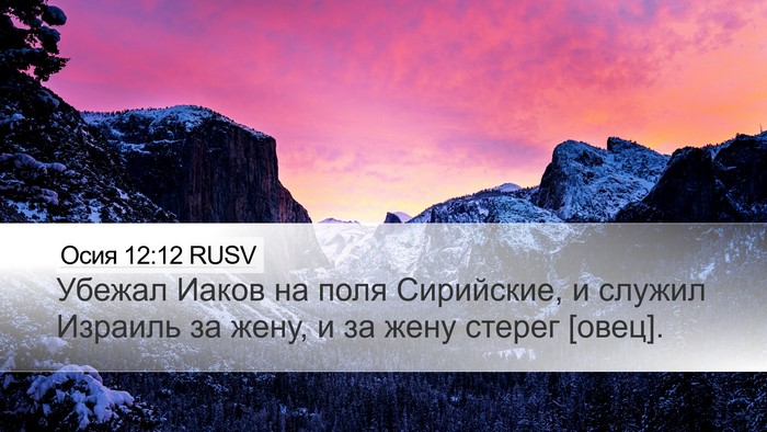 Осия 12:12 RUSV Bible Verse Image