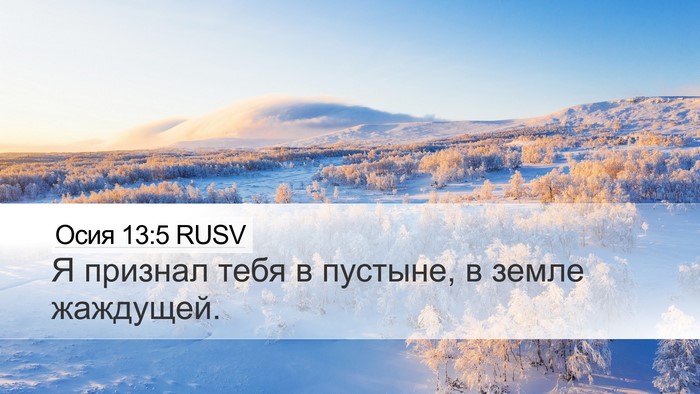 Осия 13:5 RUSV Bible Verse Image