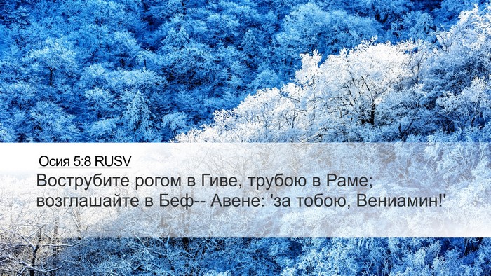 Осия 5:8 RUSV Bible Verse Image