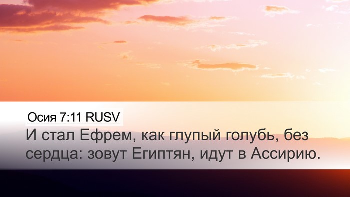 Осия 7:11 RUSV Desktop Wallpaper - И стал Ефрем, как глупый - Desktop Bible Verse Wallpaper