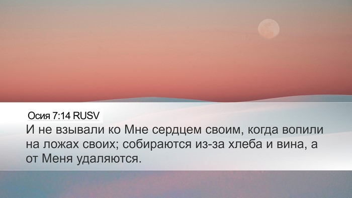 Осия 7:14 RUSV Bible Verse Image