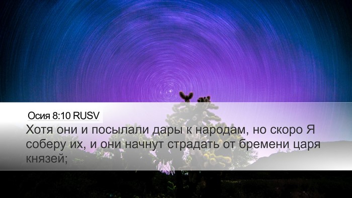Осия 8:10 RUSV Bible Verse Image