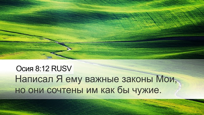 Осия 8:12 RUSV Bible Verse Image