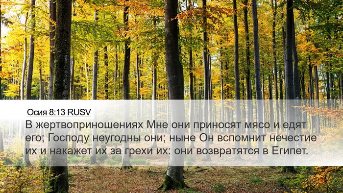 Осия 8:13 RUSV Bible Verse Image