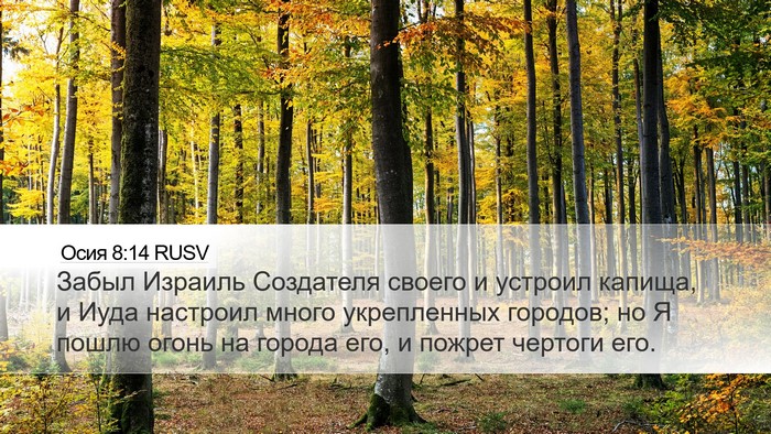 Осия 8:14 RUSV Bible Verse Image