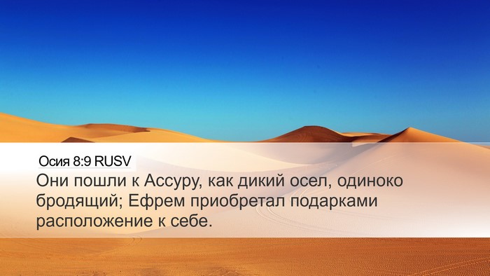 Осия 8:9 RUSV Bible Verse Image