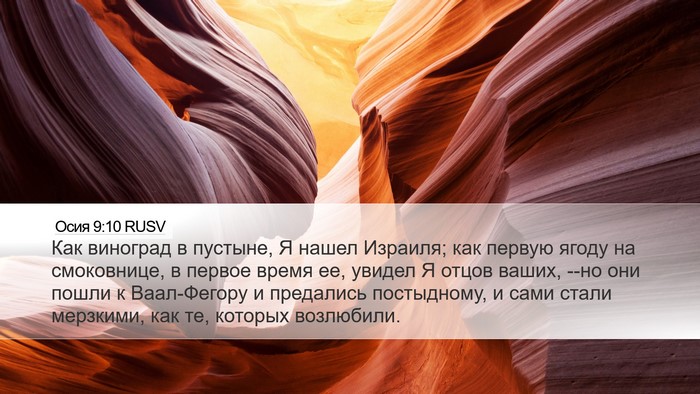 Осия 9:10 RUSV Bible Verse Image