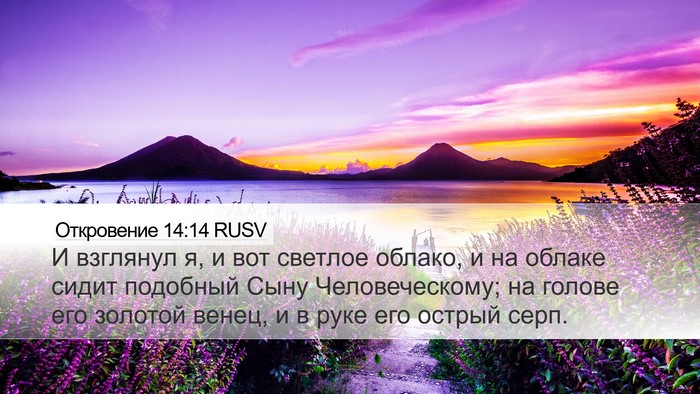 Откровение 14:14 RUSV Bible Verse Image