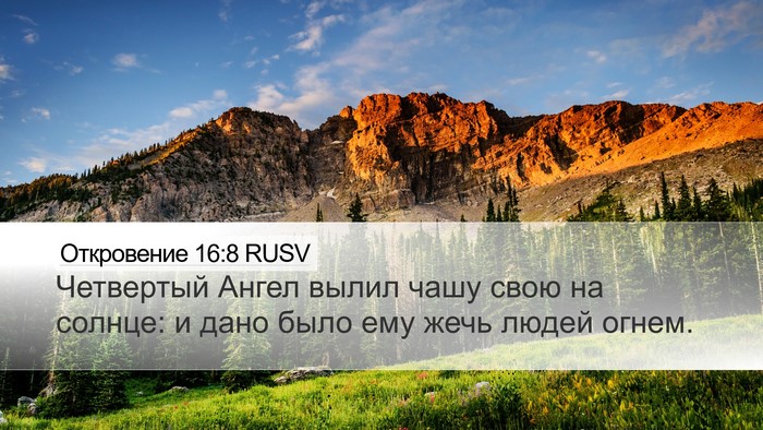 Откровение 16:8 RUSV Bible Verse Image