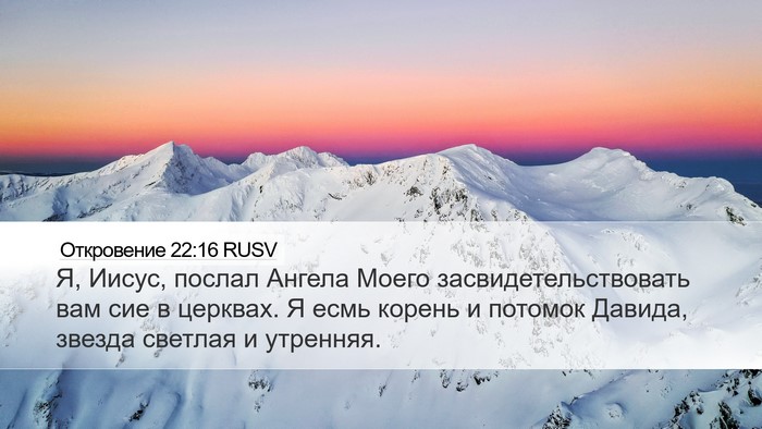 Откровение 22:16 RUSV Bible Verse Image