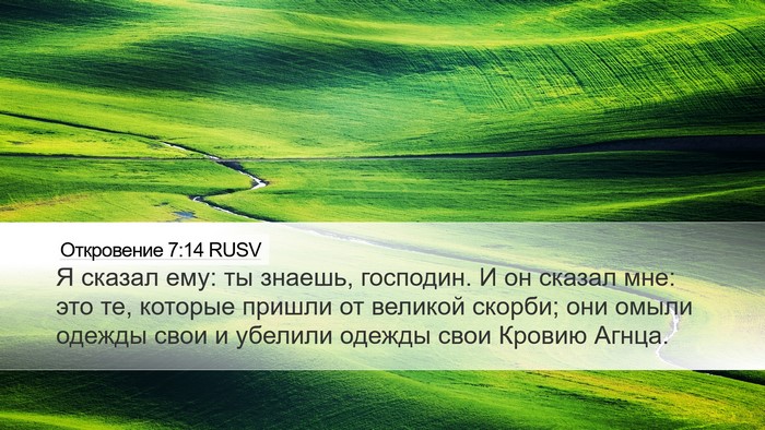 Откровение 7:14 RUSV Bible Verse Image