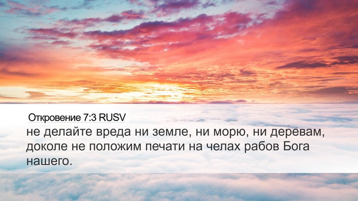 Откровение 7:3 RUSV Bible Verse Image