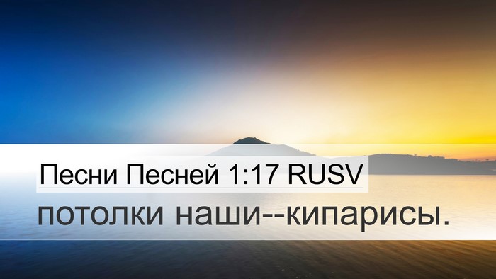 Песни Песней 1:17 RUSV Bible Verse Image