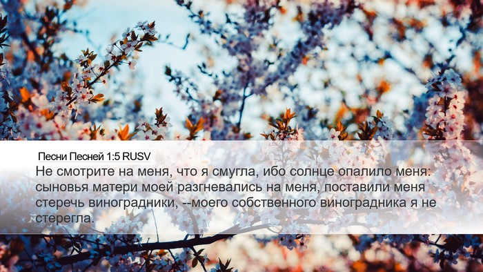 Песни Песней 1:5 RUSV Bible Verse Image
