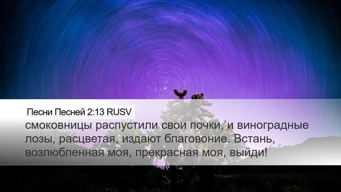 Песни Песней 2:13 RUSV Desktop Wallpaper - смоковницы распустили - Desktop Bible Verse Wallpaper