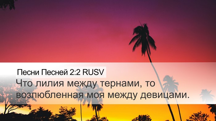 Песни Песней 2:2 RUSV Bible Verse Image