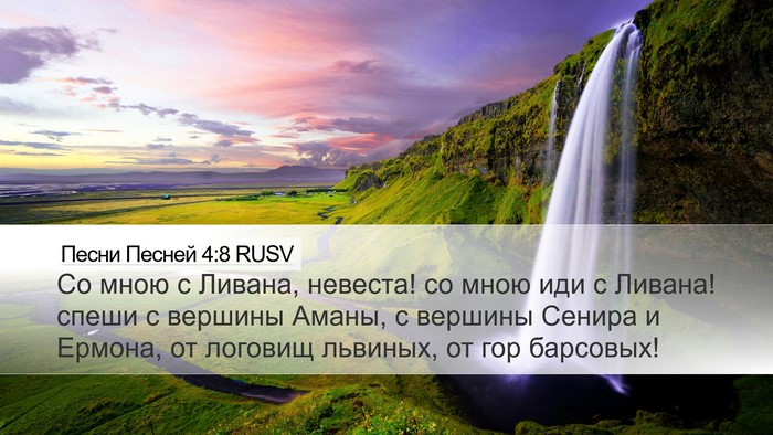 Песни Песней 4:8 RUSV Bible Verse Image