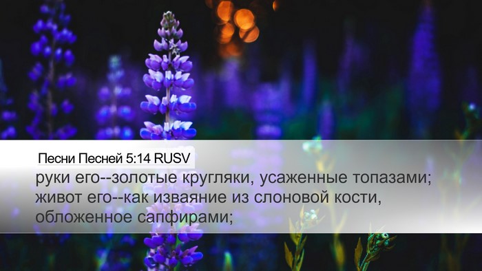 Песни Песней 5:14 RUSV Bible Verse Image