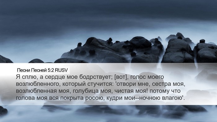 Песни Песней 5:2 RUSV Bible Verse Image