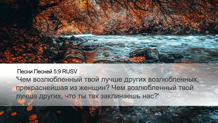 Песни Песней 5:9 RUSV Bible Verse Image