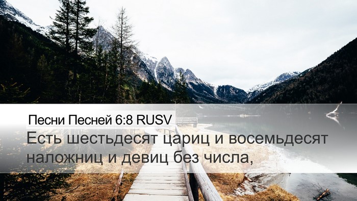 Песни Песней 6:8 RUSV Bible Verse Image
