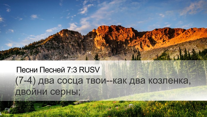 Песни Песней 7:3 RUSV Desktop Wallpaper - (7-4) два сосца твои--как два - Desktop Bible Verse Wallpaper