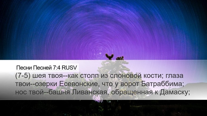 Песни Песней 7:4 RUSV Bible Verse Image