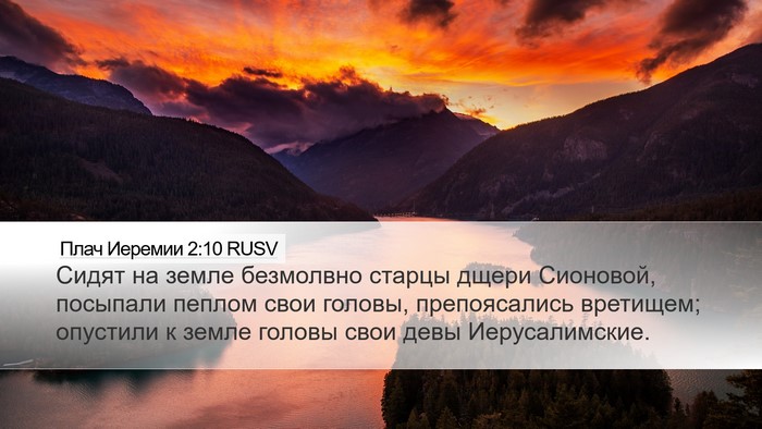 Плач Иеремии 2:10 RUSV Bible Verse Image