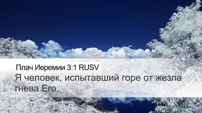 Плач Иеремии 3:1 RUSV Bible Verse Image