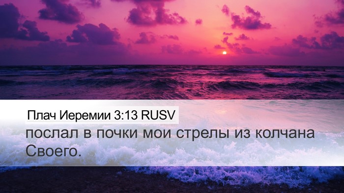 Плач Иеремии 3:13 RUSV Bible Verse Image