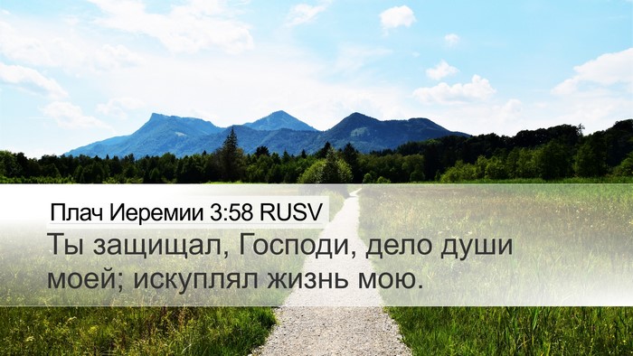 Плач Иеремии 3:58 RUSV Bible Verse Image