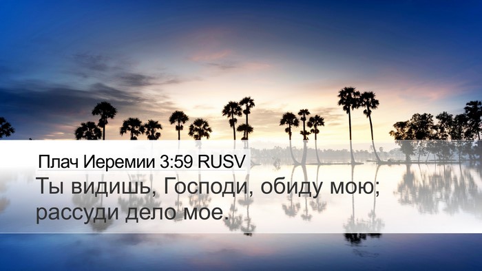 Плач Иеремии 3:59 RUSV Desktop Wallpaper - Ты видишь, Господи, обиду - Desktop Bible Verse Wallpaper