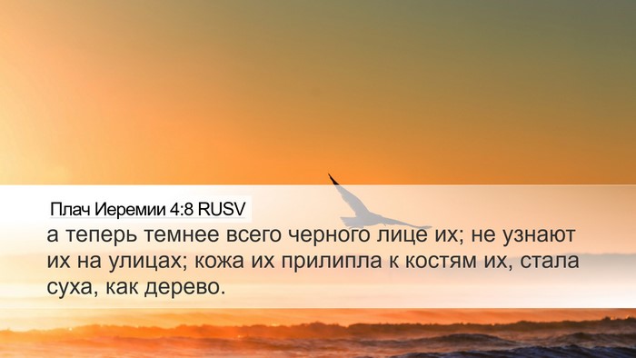 Плач Иеремии 4:8 RUSV Bible Verse Image