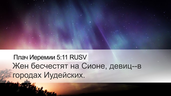 Плач Иеремии 5:11 RUSV Bible Verse Image