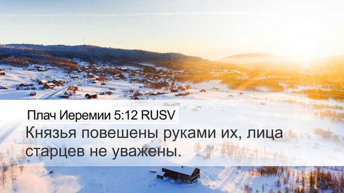 Плач Иеремии 5:12 RUSV Bible Verse Image