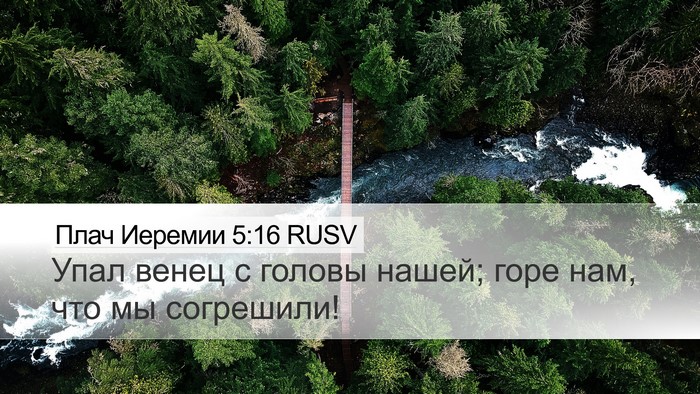 Плач Иеремии 5:16 RUSV Bible Verse Image