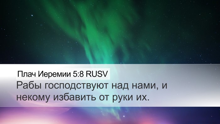 Плач Иеремии 5:8 RUSV Bible Verse Image