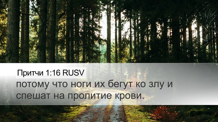 Притчи 1:16 RUSV Bible Verse Image