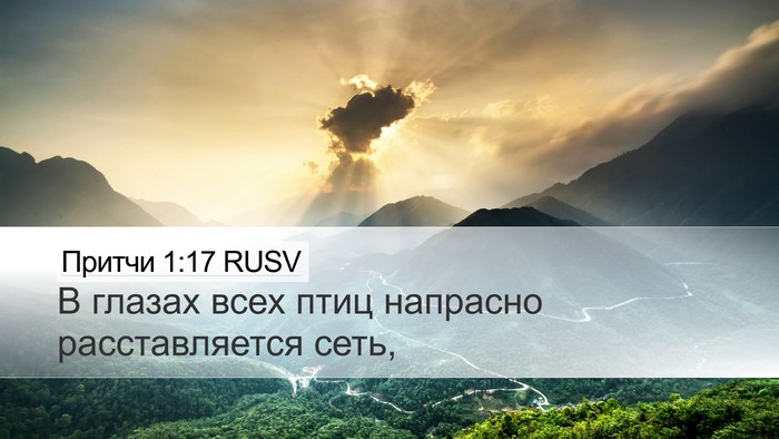 Притчи 1:17 RUSV Bible Verse Image