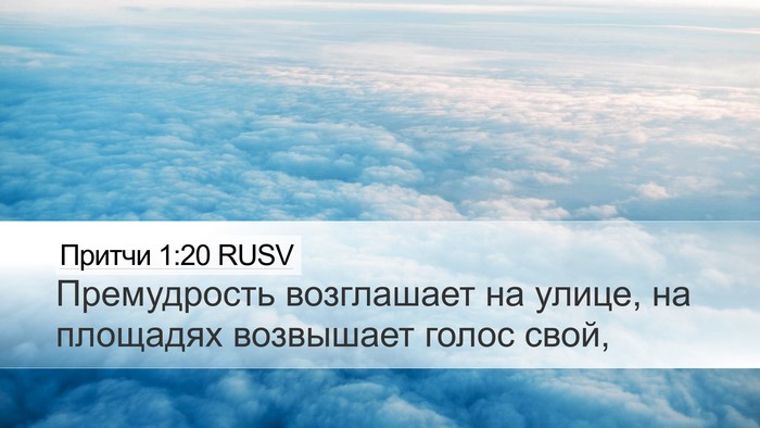 Притчи 1:20 RUSV Bible Verse Image