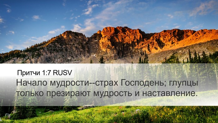 Притчи 1:7 RUSV Bible Verse Image