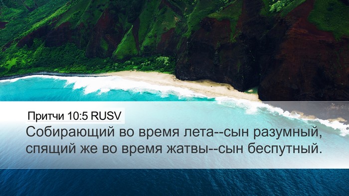 Притчи 10:5 RUSV Bible Verse Image