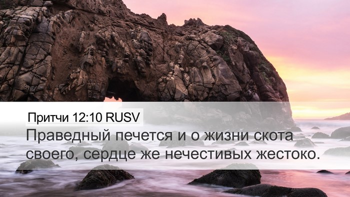 Притчи 12:10 RUSV Bible Verse Image