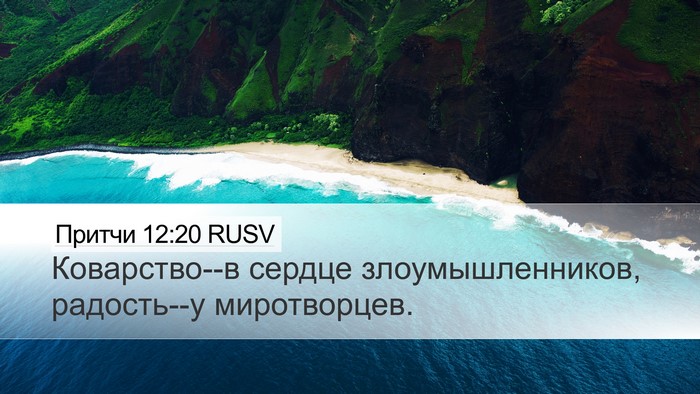 Притчи 12:20 RUSV Bible Verse Image