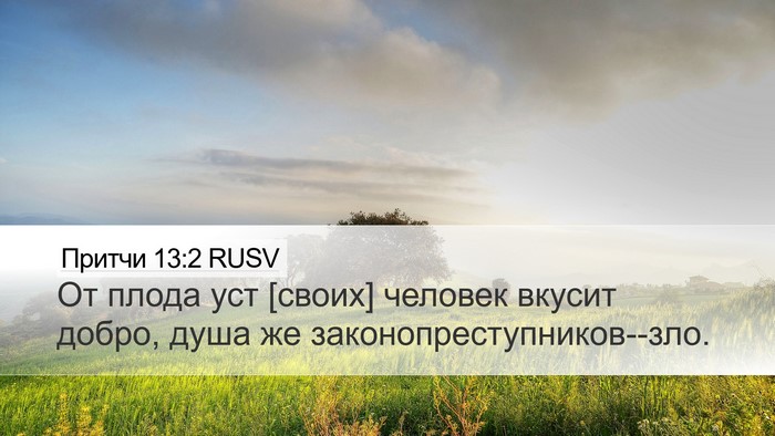 Притчи 13:2 RUSV Desktop Wallpaper - От плода уст [своих] - Desktop Bible Verse Wallpaper