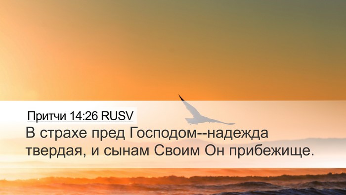 Притчи 14:26 RUSV Bible Verse Image