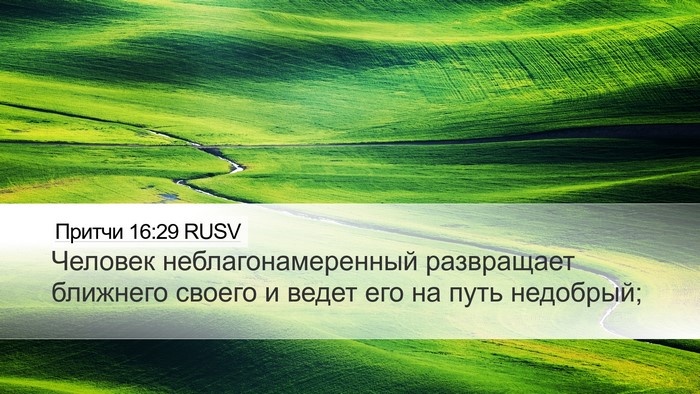 Притчи 16:29 RUSV Bible Verse Image