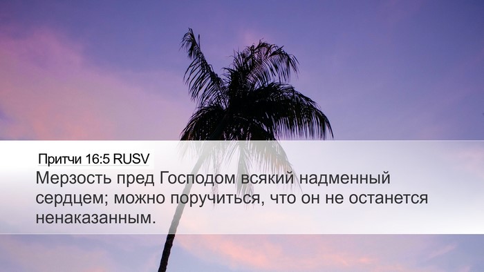 Притчи 16:5 RUSV Bible Verse Image