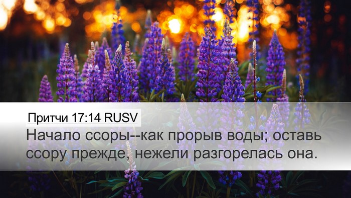 Притчи 17:14 RUSV Bible Verse Image
