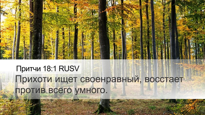 Притчи 18:1 RUSV Bible Verse Image